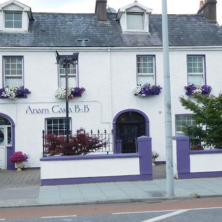 Anam Cara B&B Cork Kültér fotó